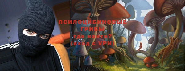 ПСИЛОЦИБИНОВЫЕ ГРИБЫ Кинешма
