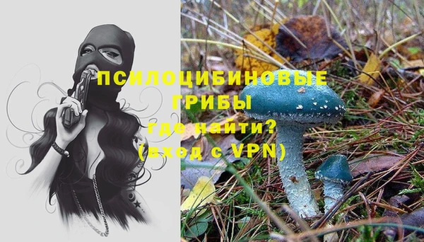 ПСИЛОЦИБИНОВЫЕ ГРИБЫ Кинешма